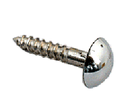 Mirror screw image